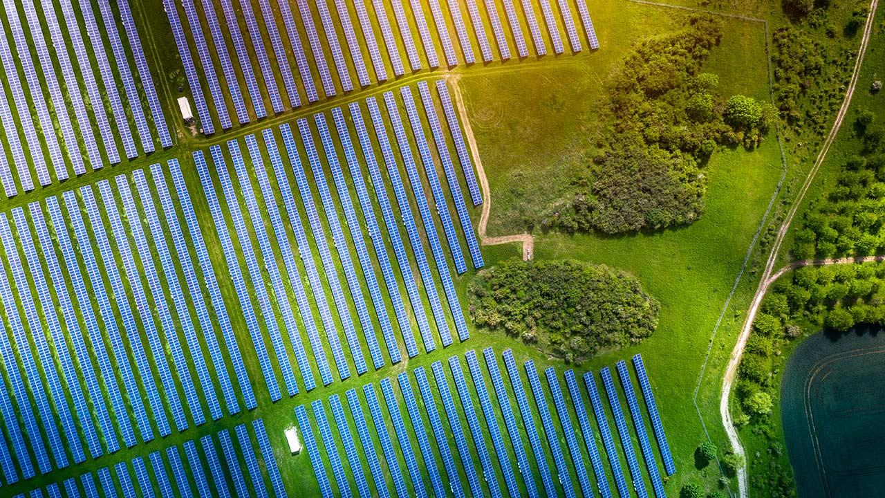 Overhead view of a solar panel grid